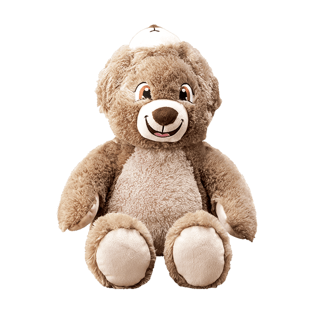 Build A Bear Workshop Cuddly Brown Bear